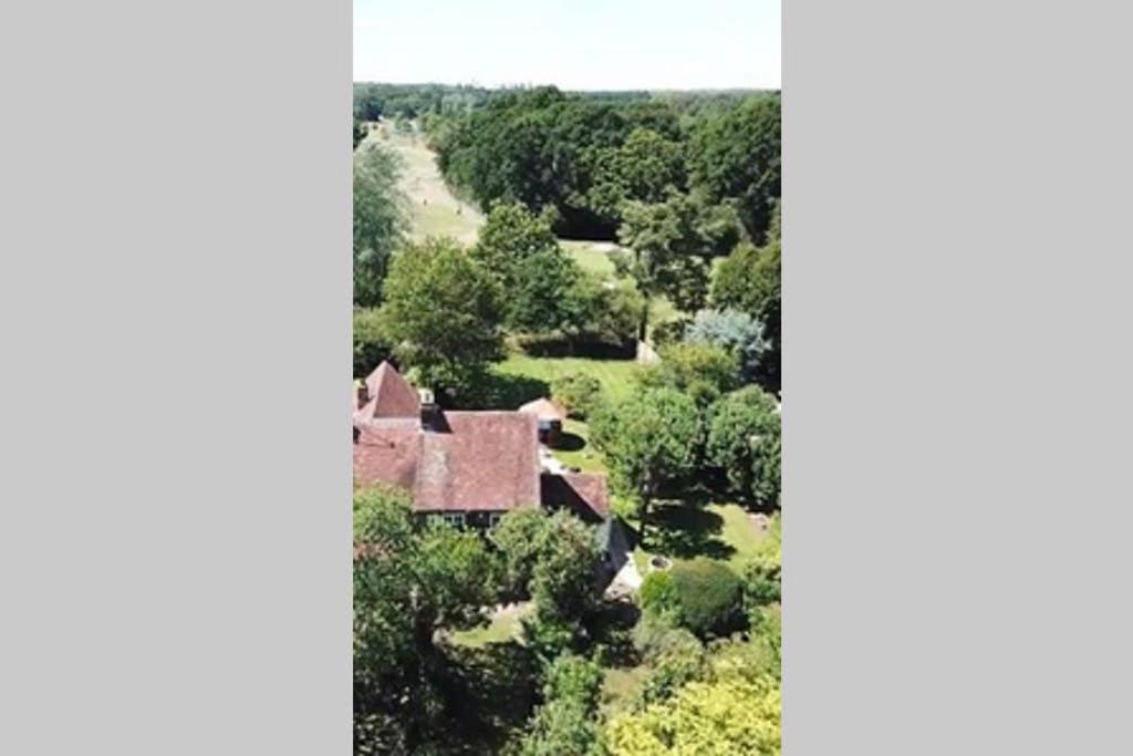 Rose Cottage Rowland's Castle エクステリア 写真
