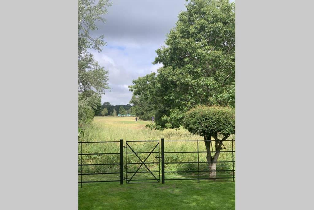 Rose Cottage Rowland's Castle エクステリア 写真
